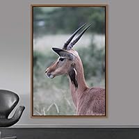 Framed Canvas Wall Art Deer Animals Deer Multicolor Photography Rustic Urban - 16x24 inches