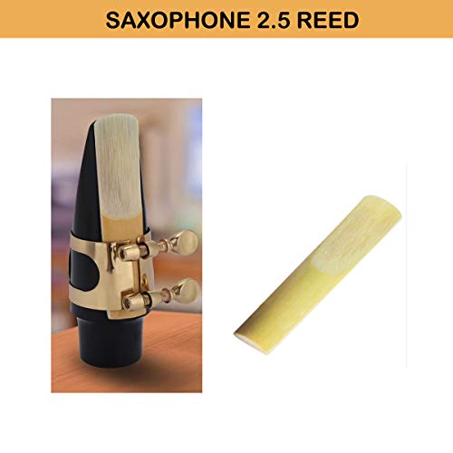 Alto Saxophone Mouthpiece Kit, Saxophone Mouthpiece with Metal Ligature, Saxophone 2.5 Reeds, Cushions and Plastic Cap