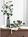 Nerseki Artificial Silver Dollar Eucalyptus Leaf Spray in Green Leaves Indoor Outside Home Garden Office Wedding Décor(3 Stems)