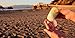 humangear GoToob+ (Small) | Refillable Silicone Travel Bottle | Locking Lid | Food-Safe Material | Aqua, Small (1.7 fl.oz; 53ml)