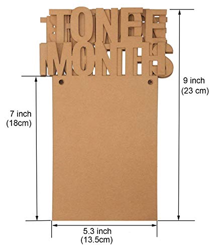 XUKEKOY 1st Birthday Baby Photo Banner Growth Record 1-12 Month Photo Prop First Birthday Party Bunt - //coolthings.us