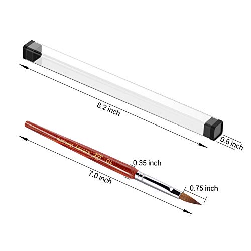 PHOEBE Acrylic Nail Brush for Acrylic Powder (Size 10) 100% Pure Kolinsky Sable Acrylic Nail Brush with Red Wood Handle Professional Nail Art Brush