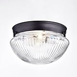 Truelite Industrial Flush Mount Ceiling Light with Glass Shade Oil Rubbed Bronze Hanging Ceiling Fixture ()