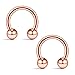 Ruifan 16G 6mm Rose Gold CBR Horseshoe Circular Rings 316L Surgical Steel for Lip Eyebrow Tongue Nipple Helix Tragus Cartilage Septum Piercing Jewelry 2PCS