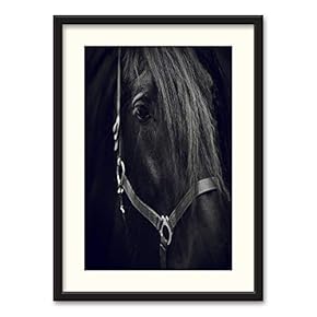 Black Paper Framed Canvas Wall Art for Living Room, Bedroom Horse Theme Canvas Prints for Home Decoration Ready to Hanging - 23x31 inches