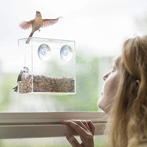 Wild Birds of Joy Window Bird Feeder with Strong Suction Cups and Seed