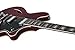 Schecter 6 String TSH-1B, See-Thru Cherry Pearl (290)