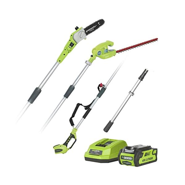 Greenworks G24PSHK2 2-in-1 Akku Stabheckenschere & Akku Hochentaster mit Schultergurt, Astsäge 20 cm Klinge…