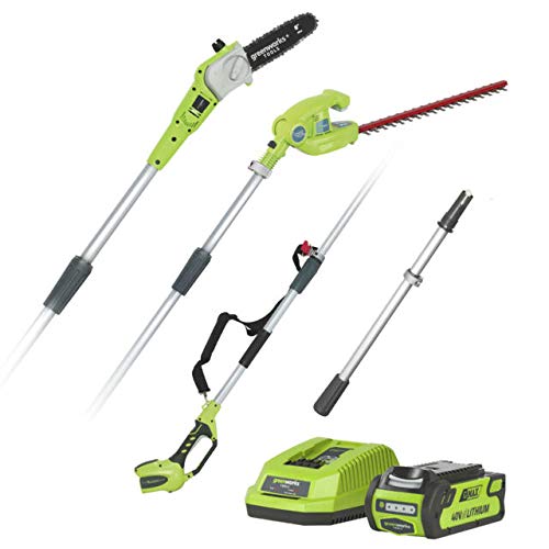 Greenworks G24PSHK2 2-in-1 Akku Stabheckenschere & Akku Hochentaster mit Schultergurt, Astsäge 20 cm Klinge…