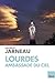 Lourdes Ambassade du ciel (TOUC.ESSAIS) (French Edition) by 