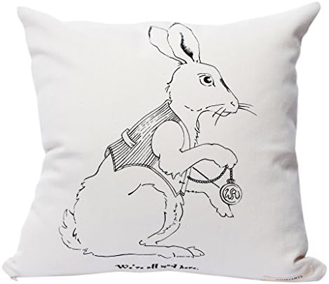 Alice in Wonderland Pillow