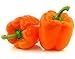 30+ ORGANICALLY GROWN GIANT Orange King Bell Sweet Pepper Seeds, Heirloom NON-GMO, Blocky, Large, Super Prolific, Delicious, Thick Walled! From USA