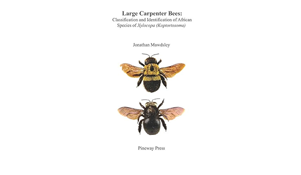 Large Carpenter Bees Classification And Identification Of African Species Of Xylocopa Koptortosoma Mawdsley Jonathan Ralph Amazon Com Books