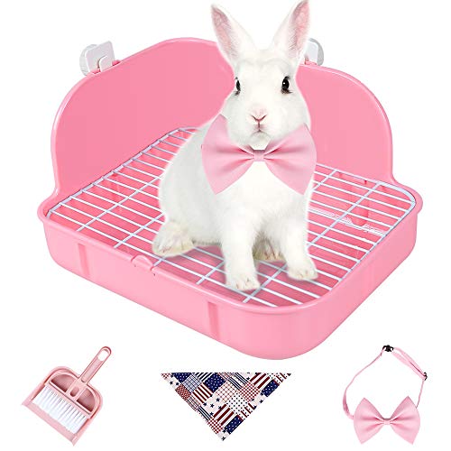 The Best Rabbit Litter Boxes Dogtime