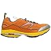 Newton Running Terra Momentum