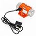 40/50/100W Vibration Motor AC110V 3600RPM Industrial Vibrator (40W)