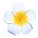 Anleolife Hawaiian Flowers Foam Hair Clips Bridal Barrette Hairpieces Tropical Beach Wedding Plumeria Flower Bridal Orchid Hairclip Hairpin Beauty Accessories 2Large 4 Small 6pcs/lot (mix color 6pcs)