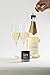 Capabunga CapaBubbles Sparkling Wine Bottle Stopper, Celebrate, Resuable Bottle Cap, Seal Open Bottles to Preserve Sparkling Wine, Beer or Other Carbonated Beverages