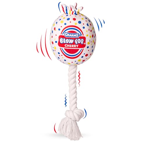 Blow Pop Plush & Rope Dog Toy – Scented Squeaky Plush with Durable Rope Stick –…