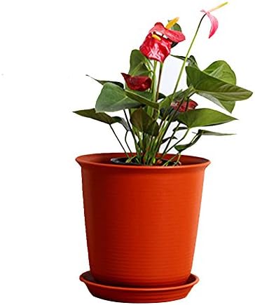JUIOKK Garden Planter Colorful Flower Pots Outdoor Indoor Office Planting Grasses Vegetables Thick Balcony Garden Planters