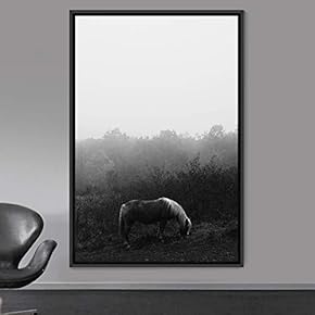signwin Framed Canvas Wall Art High Contrast Horse...