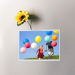 HIIMIEI Magnetic Photo Frames for Refrigerator 4x6