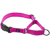 Max and Neo Nylon Martingale Collar - We Donate a Collar to a Dog Rescue for Every Collar Sold (Small, Pink)