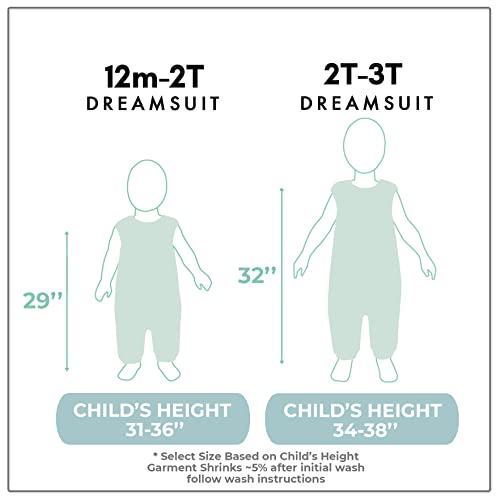 TEALBEE DREAMSUIT Baby & Toddler Wearable Blanket Sleeping Sacks for