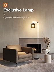 addlon LED Floor Lamp, with Matte Black Hanging