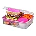 Sistema To Go Collection Bento Lunch Box, Medium, Clear/Pink Klips
