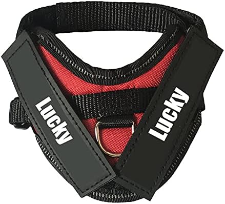 Cat Harness Custom – Personalized Cat Harness Leash Set Large for Girl Boy Walking Escape Proof – Cute Kitten Training Harnesses with Name ID Tags – 3 Sizes – Adjustable – No Choke No Pull (Red)
