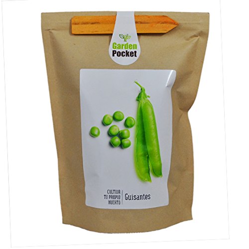 Kit de cultivo huerto urbano GUISANTES: Amazon.es: Jardín