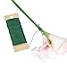eBoot Floral Arrangement Tool Kit Floral Tape Stem Wrap 1/ 2 Inch by 30 Yards, 22 Gauge Green Paddle Wire and 4 1/2 Inch Wire Cutter