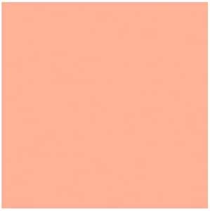 Amazon Com Rosco Roscolux Medium Bastard Amber x24 Color Effects Lighting Filter Photographic Lighting Filters Camera Photo