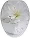 Sanilo Elongated Toilet Seat, Wide Choice of Slow Close Toilet Seats, Molded Wood, Strong Hinges (Good Feeling)