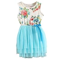 JNKLWPJS Baby Girls Cute Sleeveless Floral Sundress Tulle Tutu Skirt Tank Light Blue Dress 4 Years