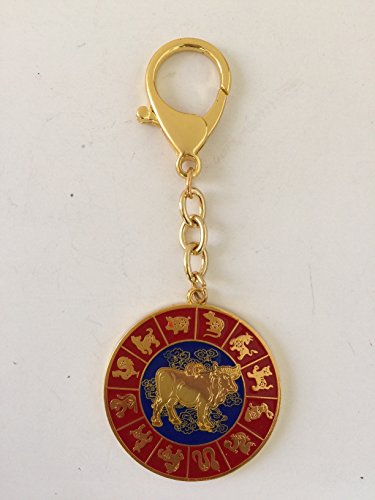 Feng Shui Annual Spring Amulet Keychain 2017 USA Seller
