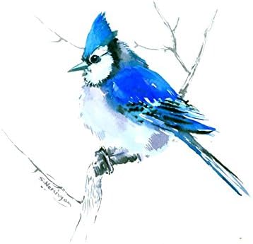 Blue Jay, One of a kinf original watercolor painting, 12" x 9"