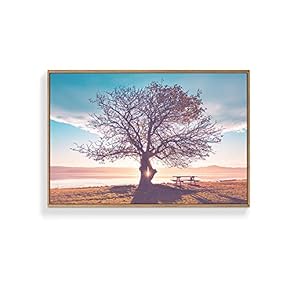 NWT Framed Canvas Wall Art for Living Room,...