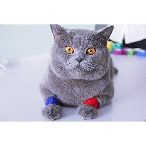 AUPCON Self Adhesive Bandage Wrap Vet Wrap Cohesive Bandages Bulk Dogs Self Adherent Wrap Non-Woven for Pet Animals & Ankle Sprains & Swelling 2 Inch x 5 Yards