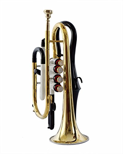 WHITE COLOR ECHO CORNET Bb PITCH FOR SALE WITH FREE HARD CASE AND MOUTHPIECE