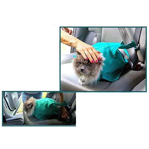 Yinrunx Dog and Cat Sling Carrier - Hands Free Reversible Pet Papoose Light Blue Bag - Soft Pouch and Tote Design - Suitable for Puppy, Small Dogs, and Cats for Outdoor Travel - Thumbnail 4