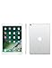 Apple iPad Pro 10.5in (2017) 256GB, Wi-Fi - Silver (Renewed)