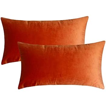 Artcest Set of 2, Cozy Solid Velvet Throw Pillow Case, Decorative Couch Cushion Cover, Soft Sofa Euro Sham with Zipper Hidden, 12
