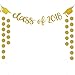 2019 Graduation Party Decorations,Gold Glittery Class of 2019 Banners and Gold Glittery Circle Dots Garland- Graduation/Grad Party Decorations
