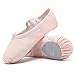 CIOR Girls Ballet Slippers Canvas Ballet Shoes Dance, No Color, Size No Size