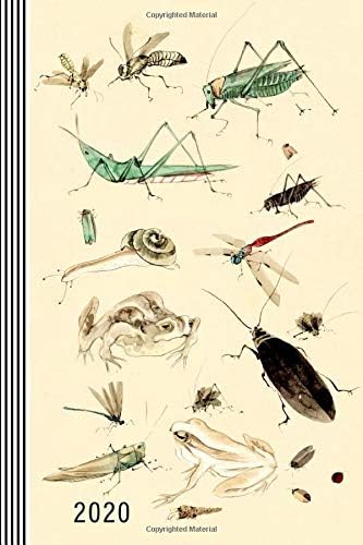 2020: Artsy Planner 2020 Monthly Weekly Organizer with Notes Section + 45 Dot Grid Pages, To Do List 6x9 - Calendar Jan-Dec Year A5 - Schedule Notebook Journal Almanac - Traditional Asian Art Insects Paperback – 5 Dec. 2019