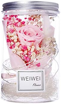 Eternal Dried Flowers Lights Bouquet Star Wishing Bottle Lamp Bedroom Party Table Christmas Decor Gifts for Women (Pink)