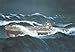 Revell German Submarine VII C Wolf Pack