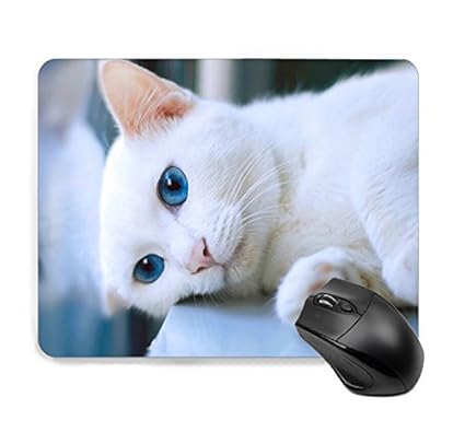 Amazon マウスパッド かわいい 猫 白猫 猫柄 萌え 人気 キャラクター Amazon マウスパッド かわいい 猫 白猫 猫柄 萌え 人気 キャラクター